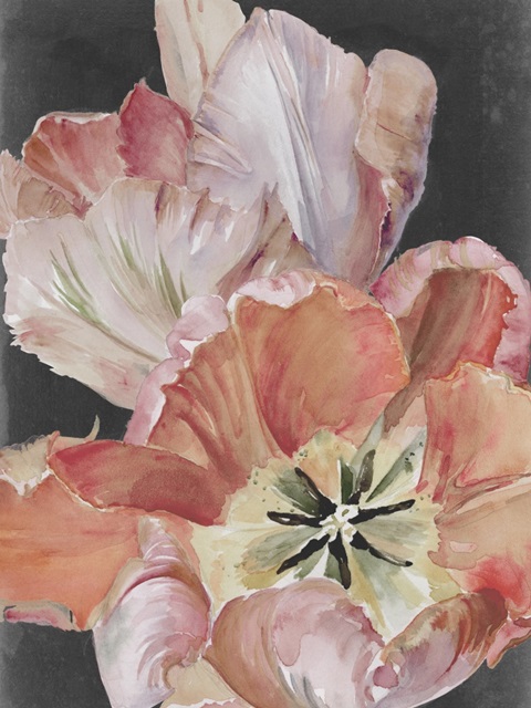 Pastel Parrot Tulips I