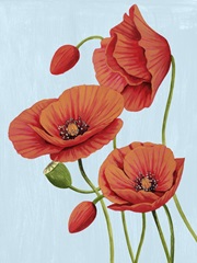 Poppy Topple II