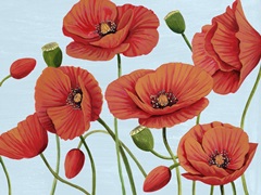 Poppy Topple III