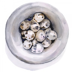 Quail Egg Study I