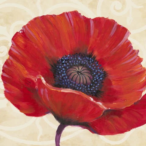 Red Poppy I