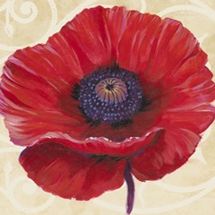 Red Poppy II