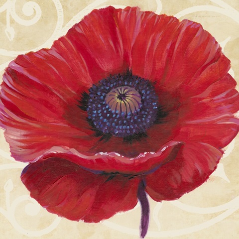Red Poppy II