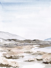 Salt Lake Reflections I