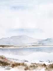 Salt Lake Reflections II