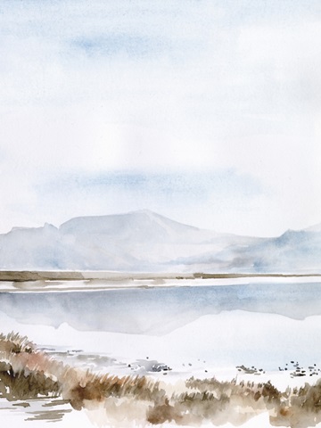 Salt Lake Reflections II