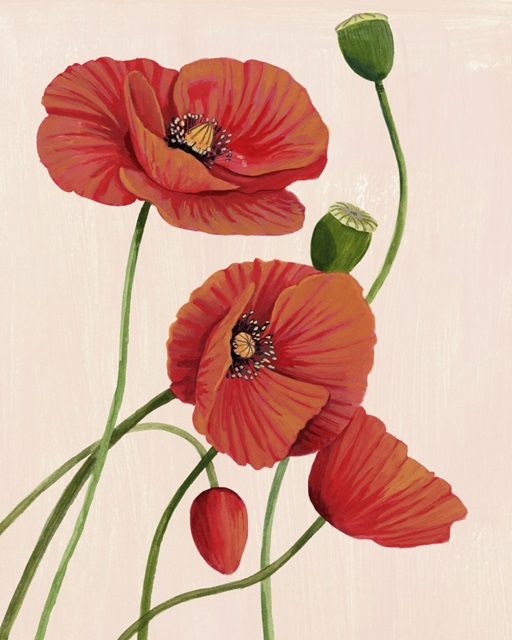 Soft Coral Poppies I