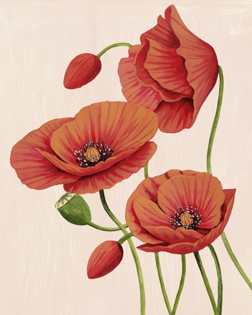 Soft Coral Poppies II