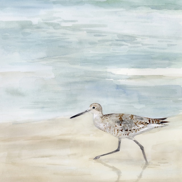 Speckled Willet II