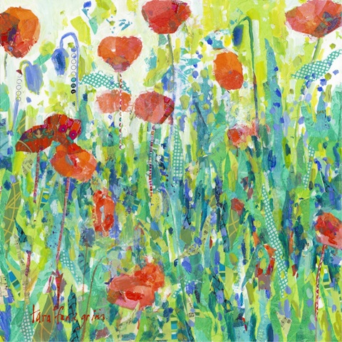 Stately Red Poppies III