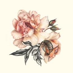 The Light of Day Rose II