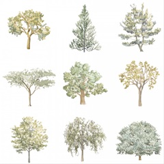 Tree Varieties I