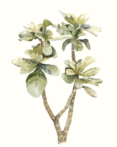 Tropical Watercolor Leaves III