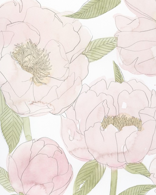 Veiled Peonies I