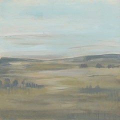 View from the Train I