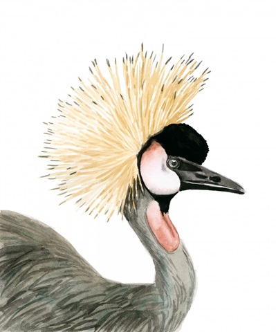 Watercolor Crested Crane