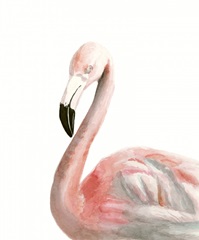 Watercolor Flamingo