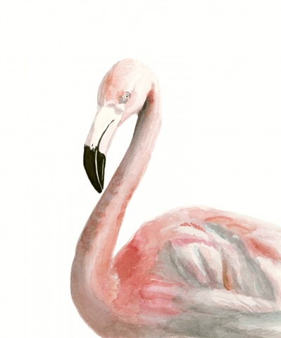 Watercolor Flamingo