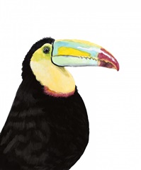 Watercolor Toucan