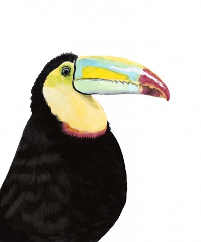Watercolor Toucan