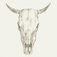 Western Skull Mount I