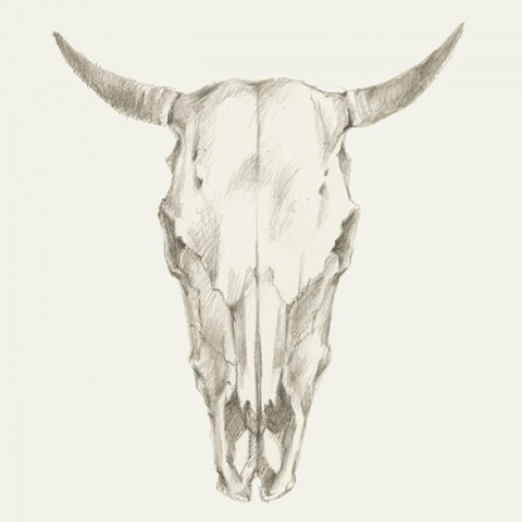 Western Skull Mount I