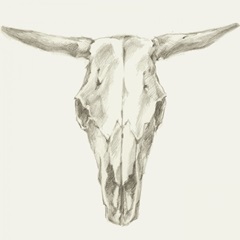 Western Skull Mount II
