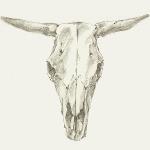 Western Skull Mount II