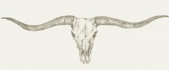 Western Skull Mount III