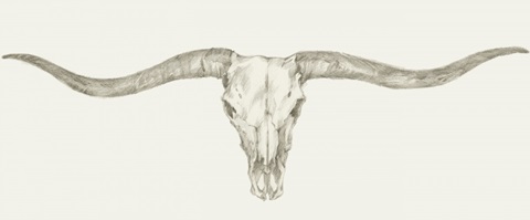 Western Skull Mount III