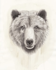 American Wilderness I