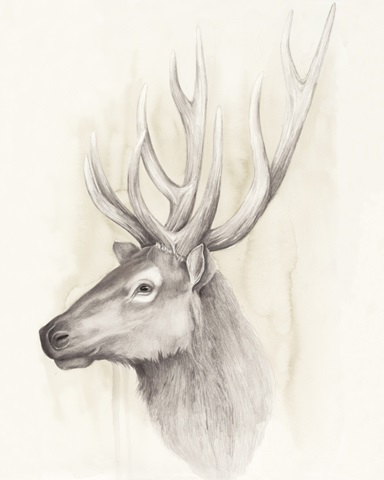 American Wilderness III