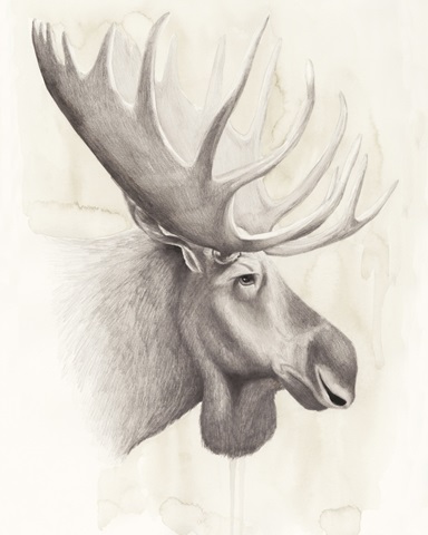 American Wilderness IV