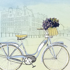 Biking Through Amsterdam