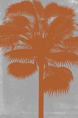 Chromatic Palms IV