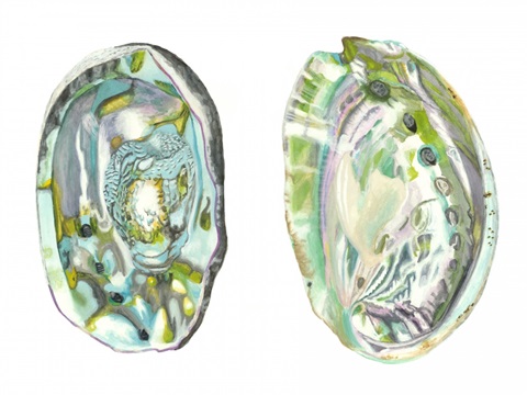 Abalone Shells II