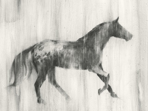 Appaloosa Study I