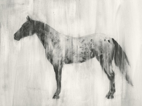 Appaloosa Study II