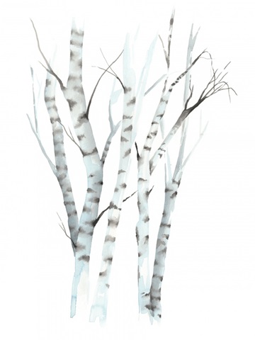 Aquarelle Birches II
