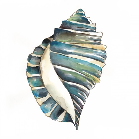 Aquarelle Shells I