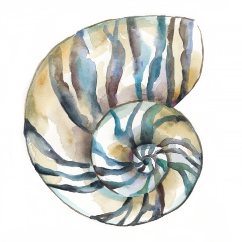 Aquarelle Shells II