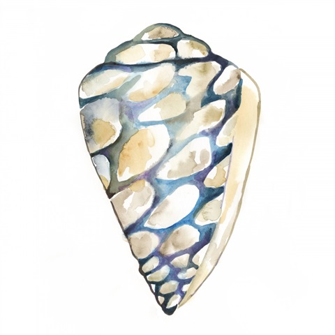 Aquarelle Shells III