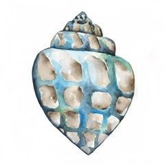 Aquarelle Shells V