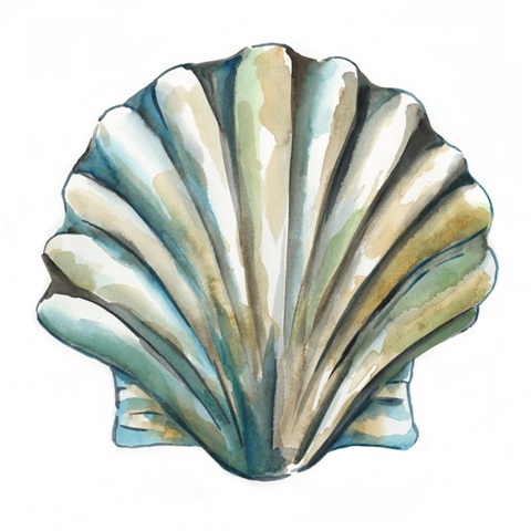 Aquarelle Shells VI