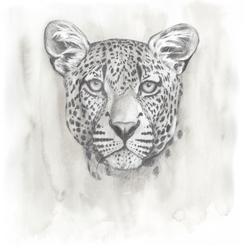 Big Cat Study IV
