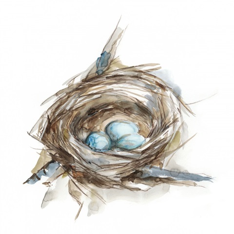 Bird Nest Study II