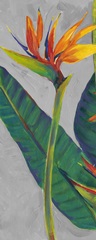 Bird of Paradise Triptych I