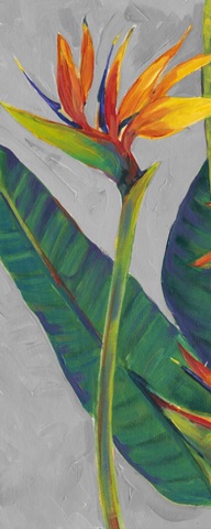 Bird of Paradise Triptych I