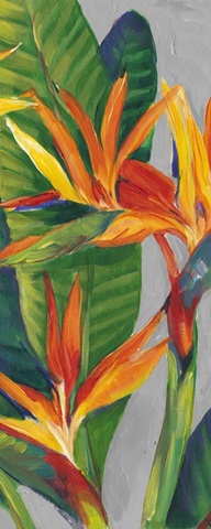 Bird of Paradise Triptych II