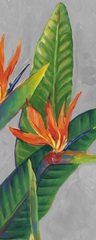 Bird of Paradise Triptych III